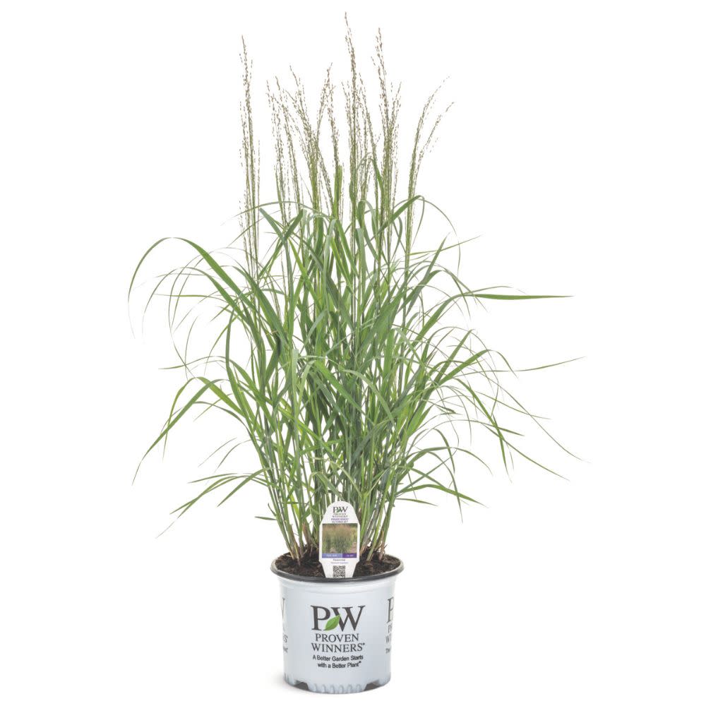 Prairie Winds® &