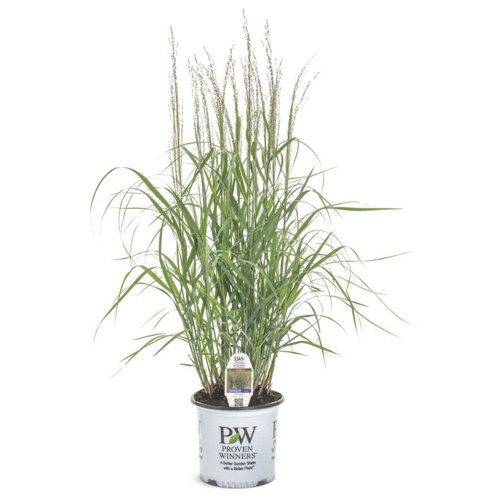 Prairie Winds® &