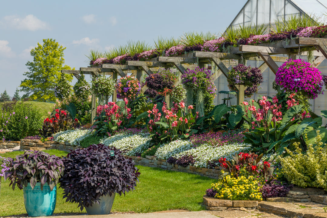 2026 Proven Winners Direct Signature Garden Event Ticket
