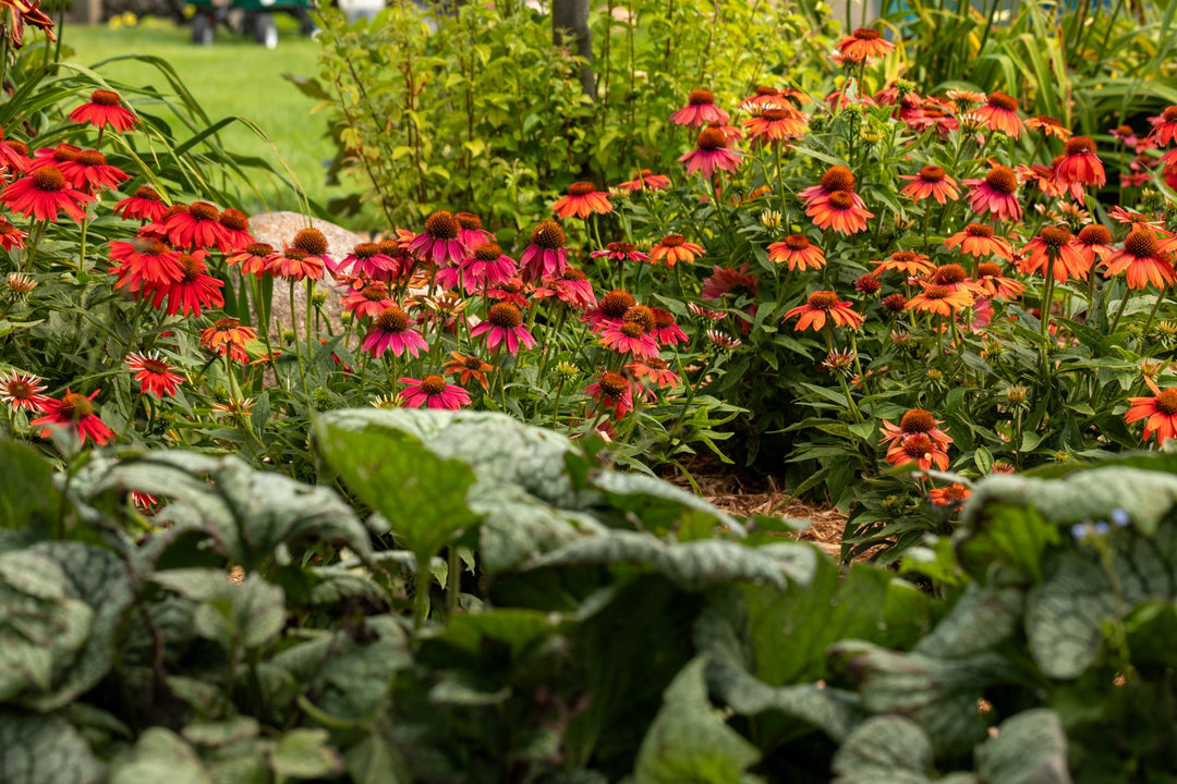 2026 Proven Winners Direct Signature Garden Event Ticket