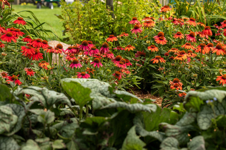 2026 Proven Winners Direct Signature Garden Event Ticket