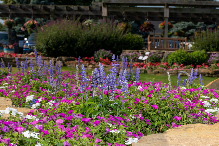 2026 Proven Winners Direct Signature Garden Event Ticket