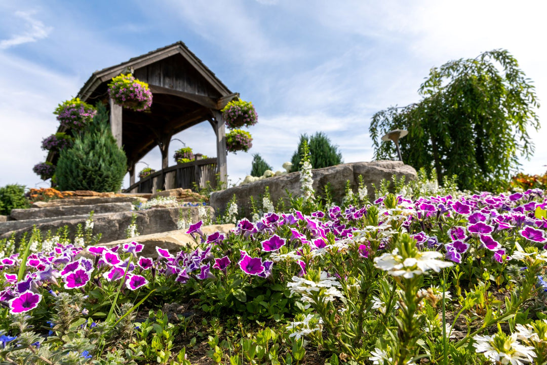 2026 Proven Winners Direct Signature Garden Event Ticket