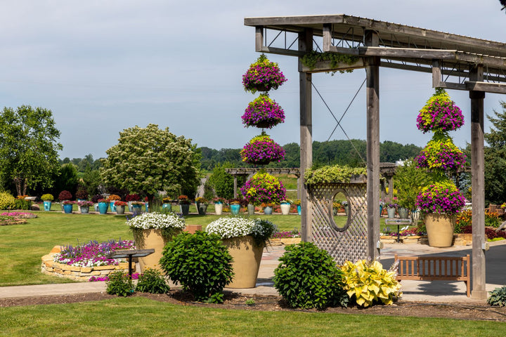2026 Proven Winners Direct Signature Garden Event Ticket