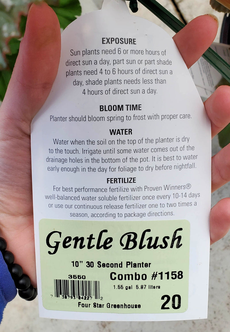 Gentle Blush - 30 Second Planter™ | New to Proven Winners Direct™