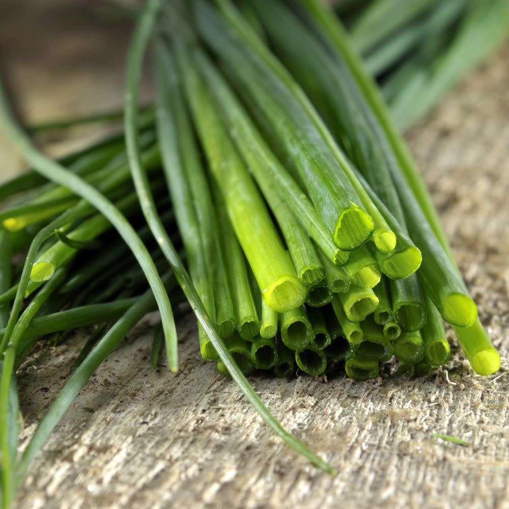 Proven Selections® Medium Chives (Allium schoenoprasum)