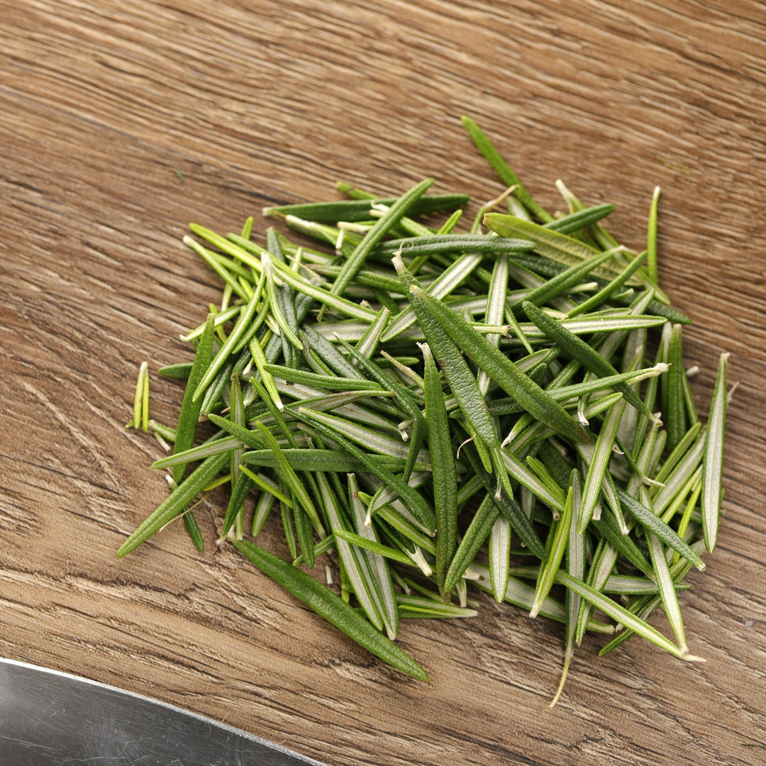 Rosemary | Proven Selections® Prime Rosemary | Proven Winners