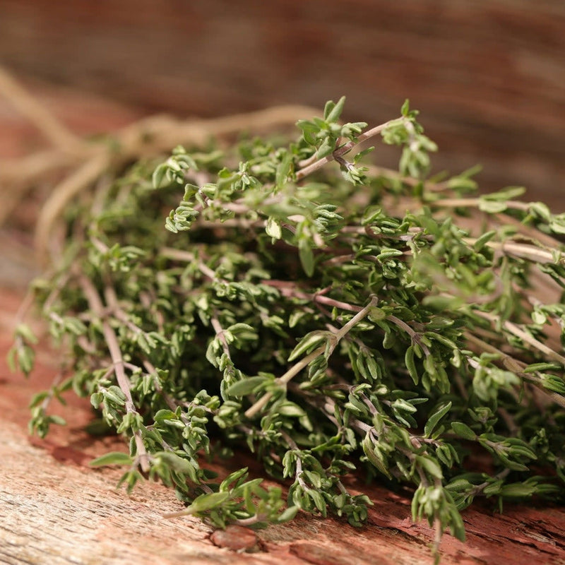 Proven Selections Aromatic Thyme Thyme up close.