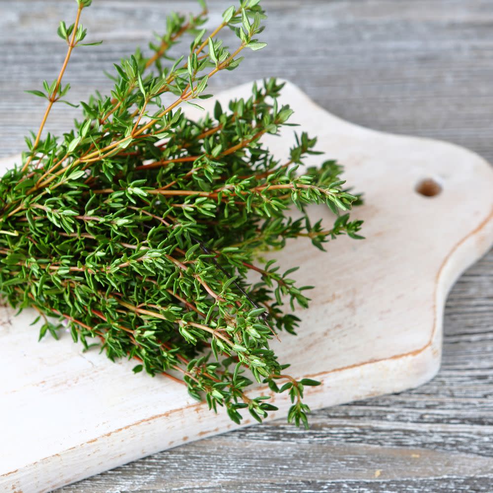 Thyme | Proven Selections® Aromatic Thyme | Proven Winners® Herbs