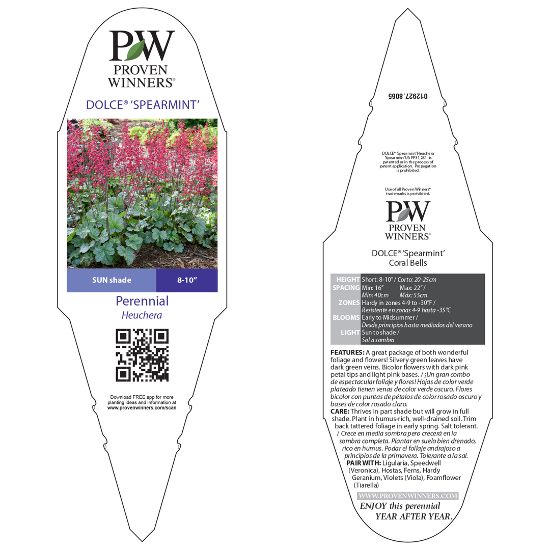 Dolce® &