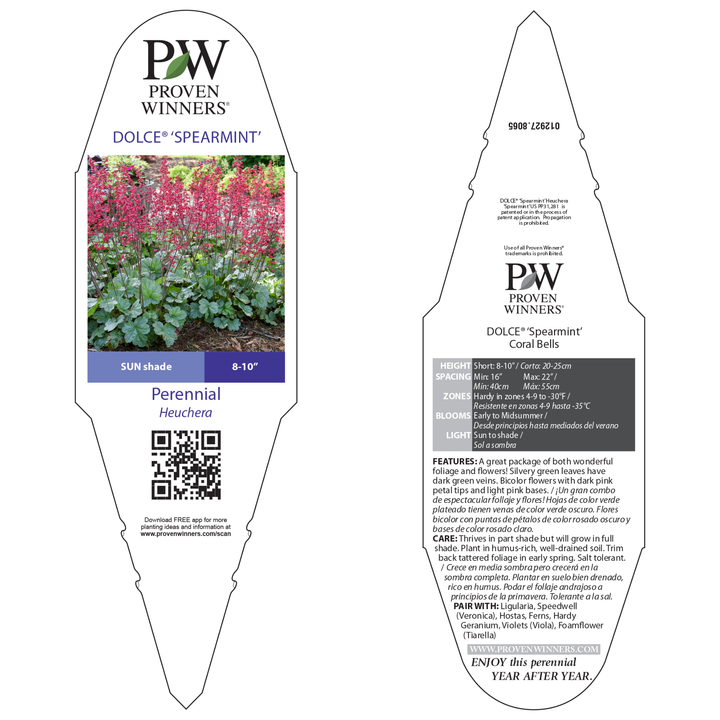 Coral Bells | Dolce® 'Spearmint' | Proven Winners® Perennials
