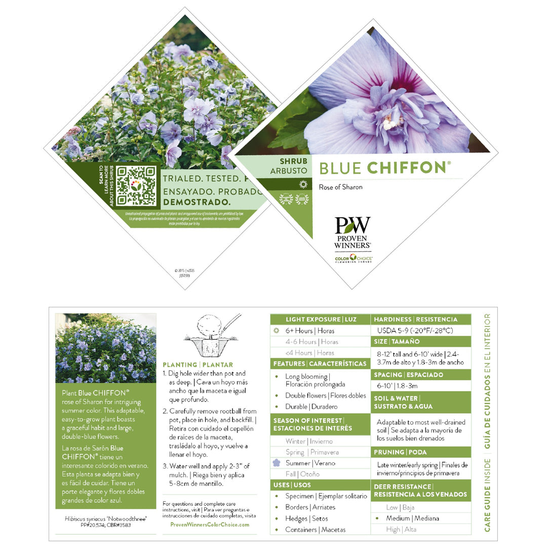 Blue Chiffon® Rose of Sharon (Hibiscus syriacus)