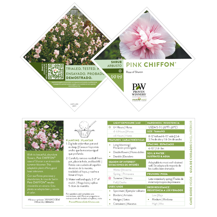 Pink Chiffon® Rose of Sharon (Hibiscus syriacus)