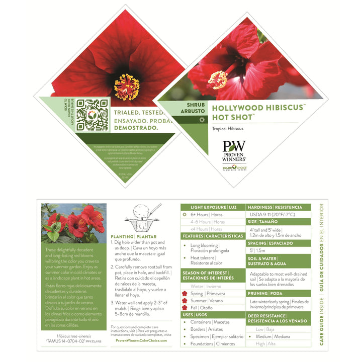 Hollywood Hibiscus® Hot Shot™ Tropical Hibiscus (Hibiscus rosa-sinensis)
