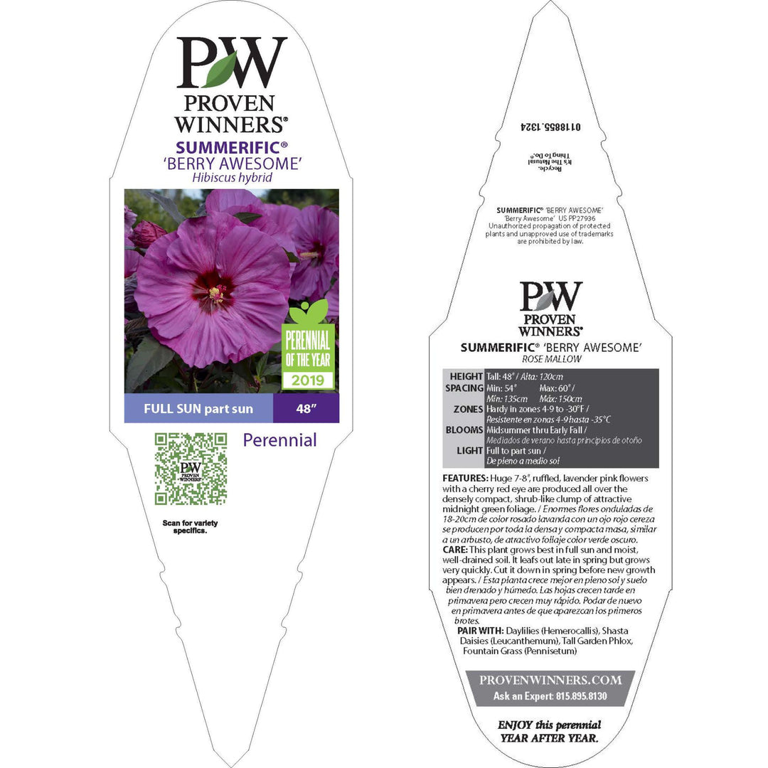 Rose Mallow | Summerific® 'Berry Awesome' | Proven Winners