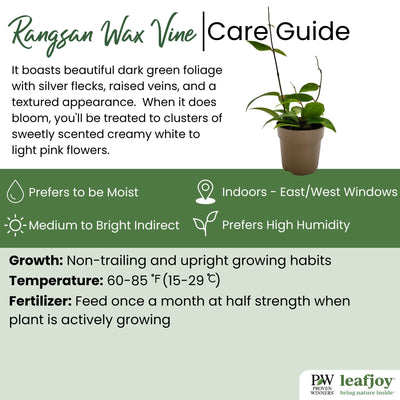 leafjoy® Endless Cascades™ Fresh Rain™ Wax Vine detailed care information.