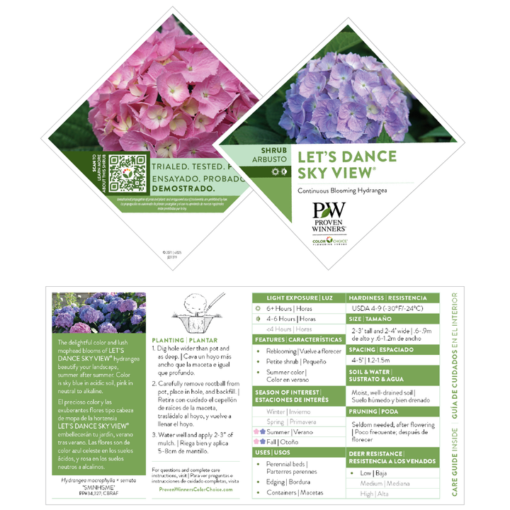 Reblooming Hydrangea | Let's Dance Sky View® | Proven Winners