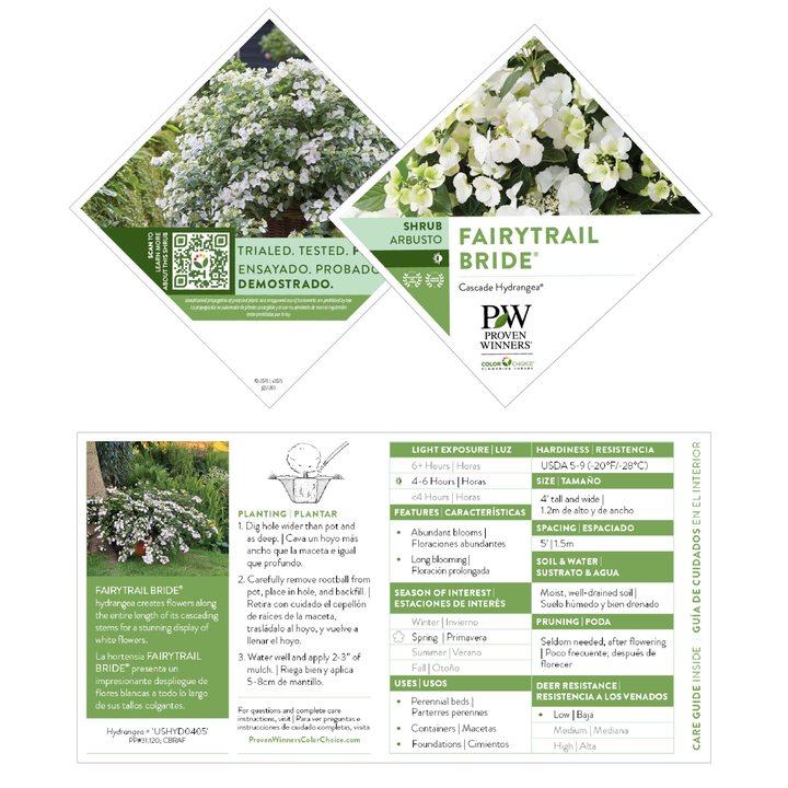 Cascade Hydrangea | Fairytrail Bride®