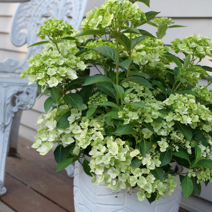 HYDPRC501-Lifestyle_720x.jpg?v