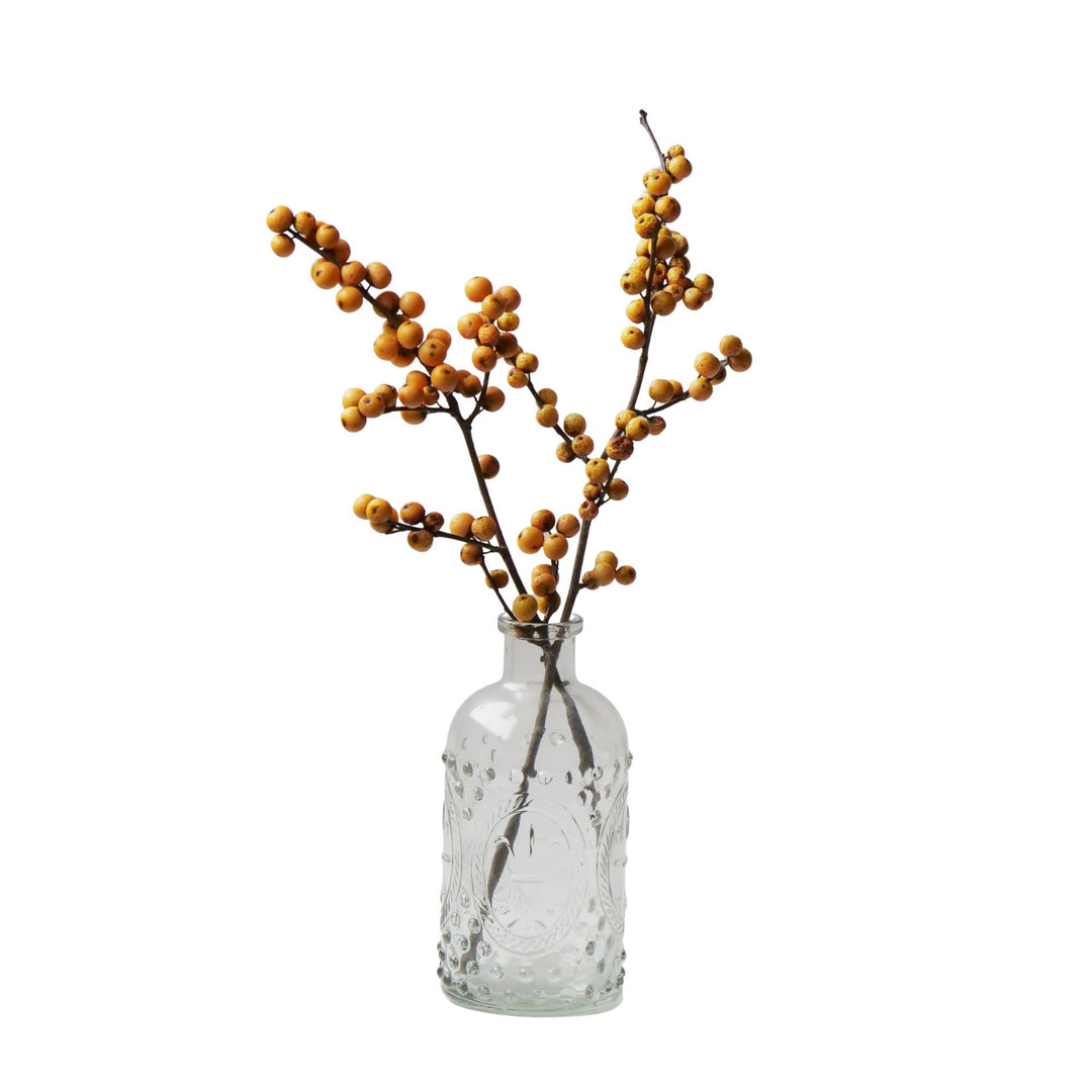Berry Heavy® Gold Winterberry Holly (Ilex verticillata)
