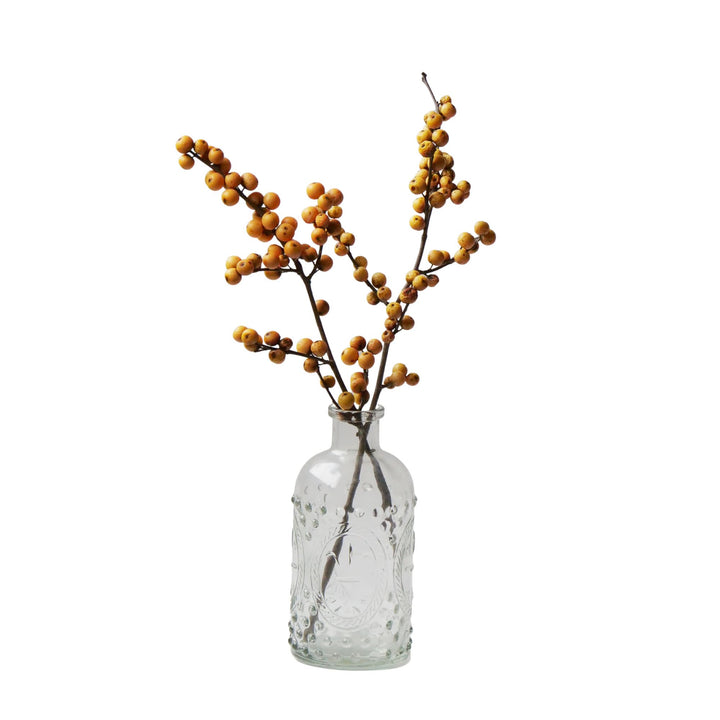 Berry Heavy® Gold Winterberry Holly (Ilex verticillata)