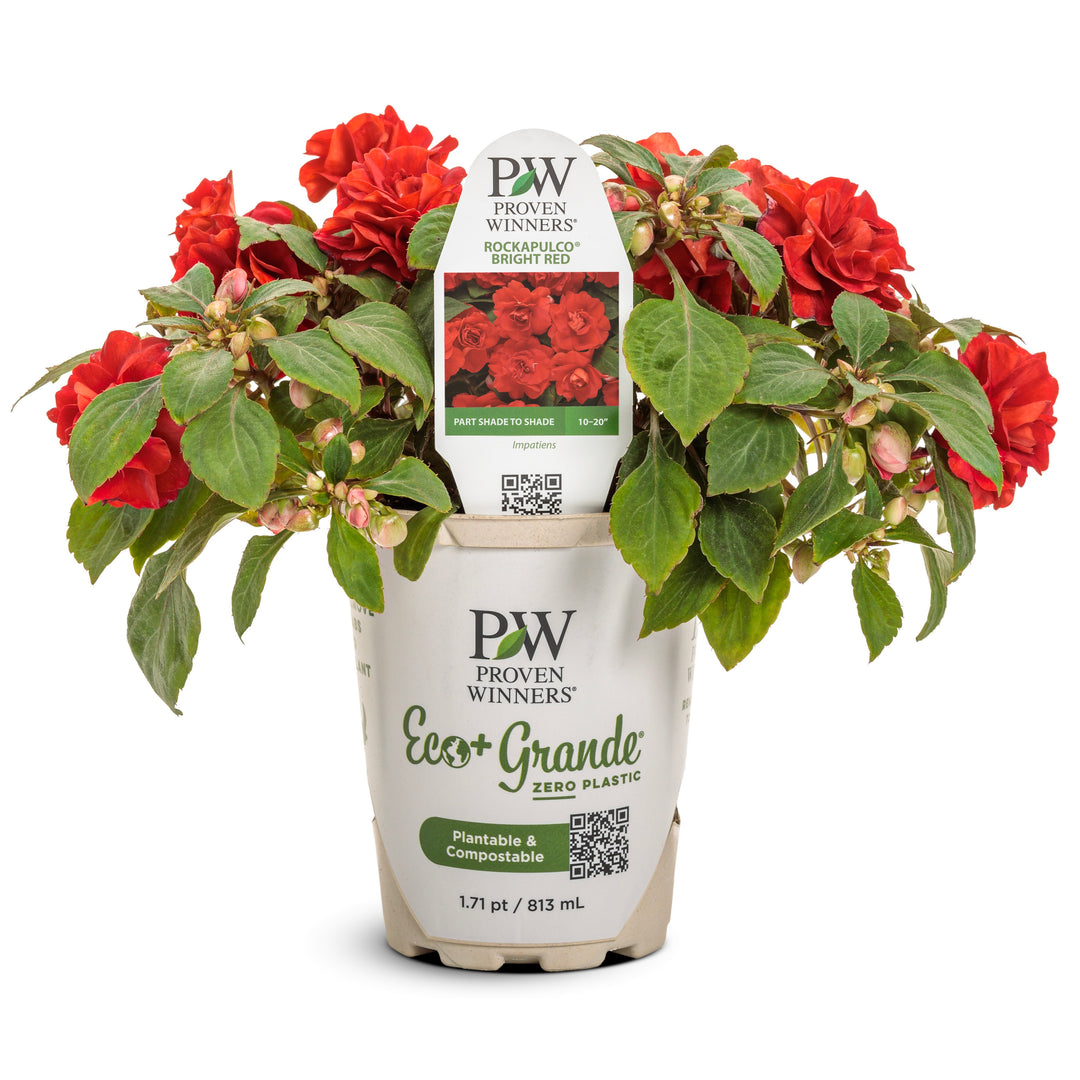 IMPPRW002-Hero-1_1080x.jpg?v=