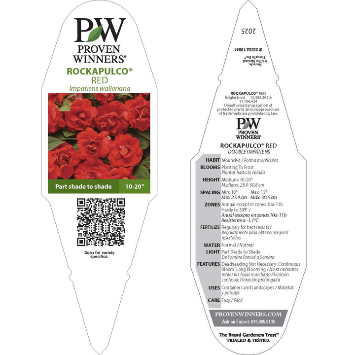 double impatiens flower seeds Double Impatiens | Rockapulco Red