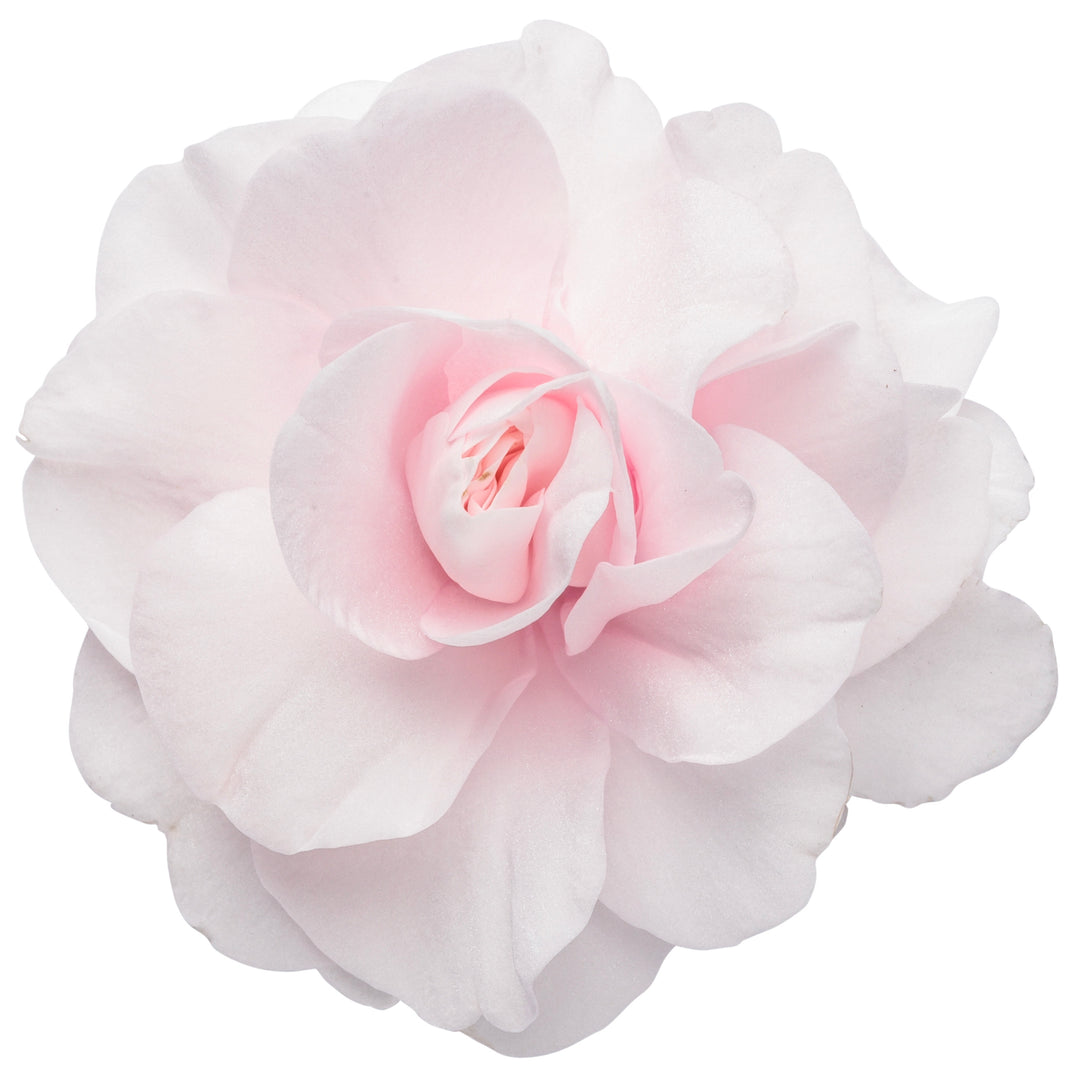 Rockapulco® Appleblossom Double Impatiens (walleriana)