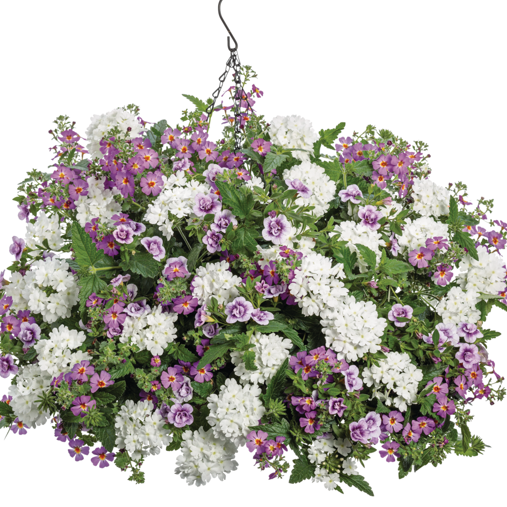 JAMPRW103-Lifestyle-2.png?v=