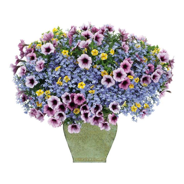 TSURU By MARIKO Eleonoa フラワー ブルー TSURU By MARIKO Eleonoa