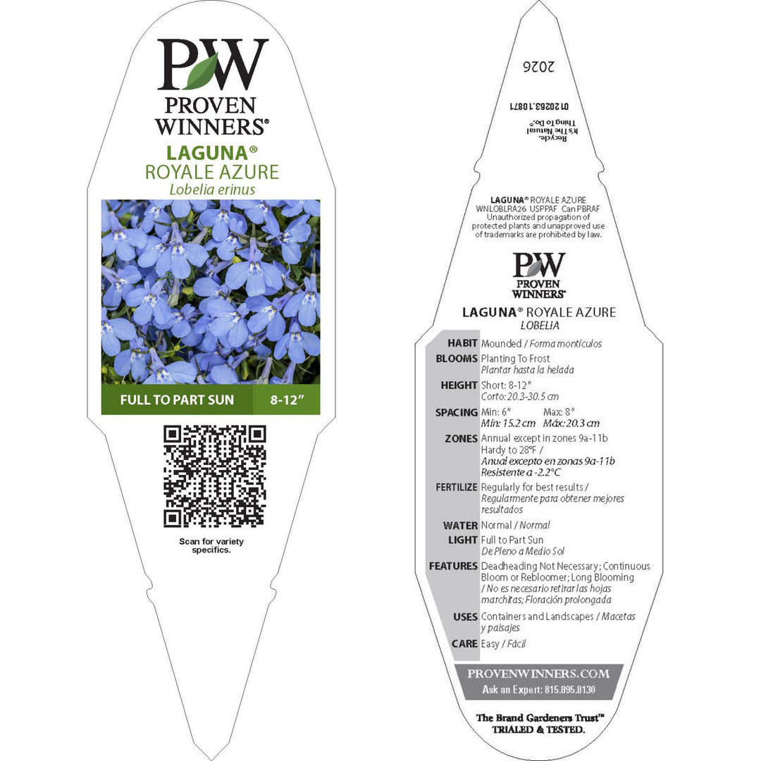 Lobelia | Laguna® Royale Azure | Proven Winners® Annuals – Proven