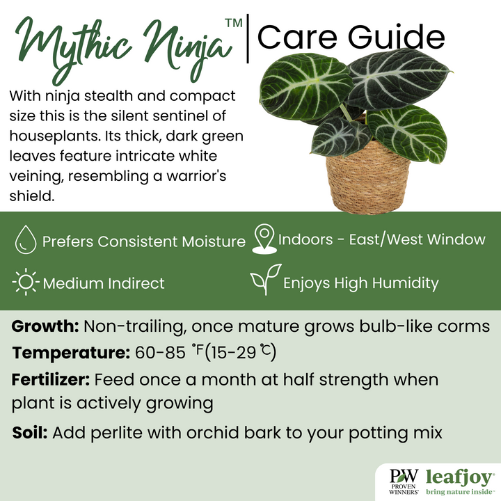 MythicNinja_720x.png?v=1707151715