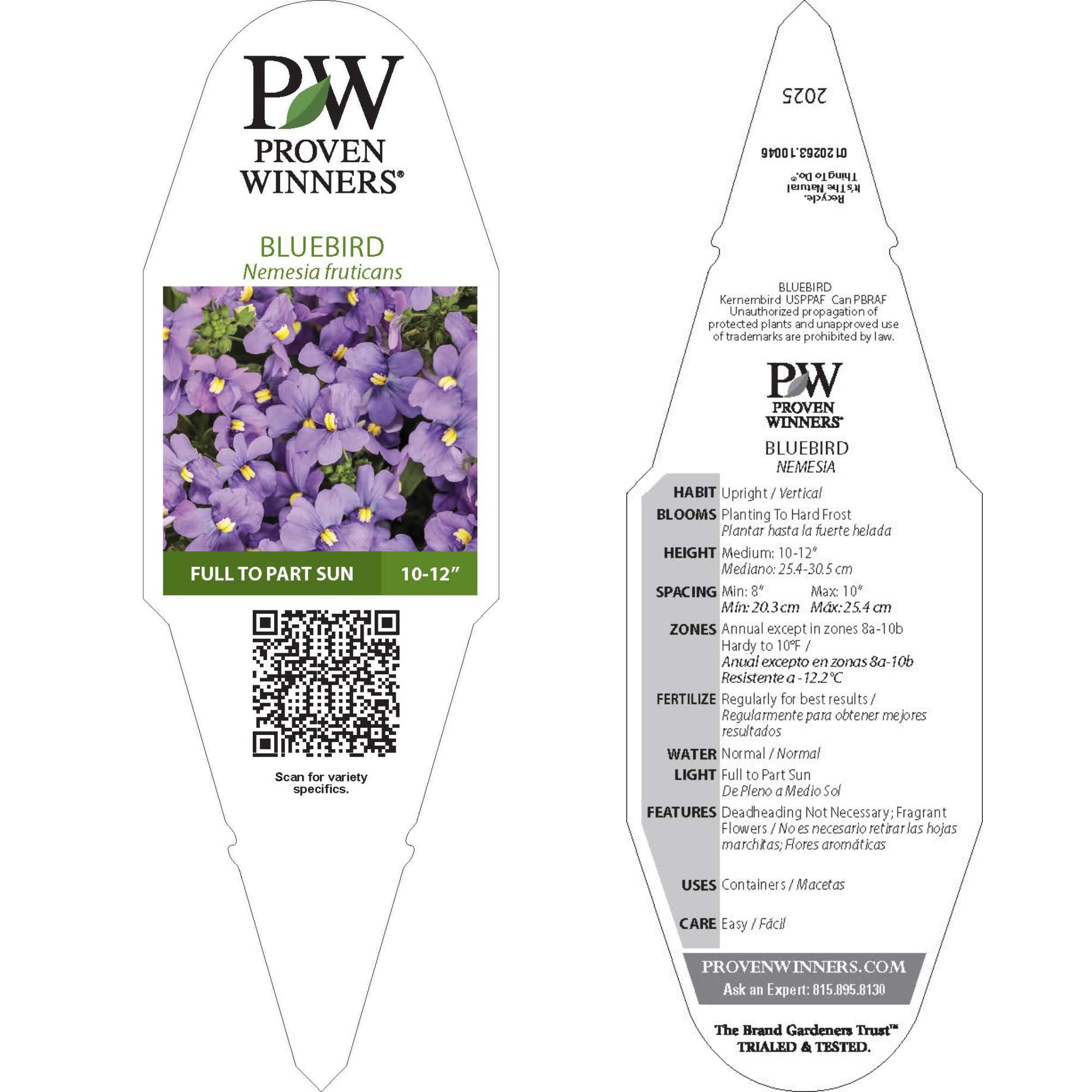 Nemesia | Bluebird | Proven Winners® Annuals – Proven Winners Direct™