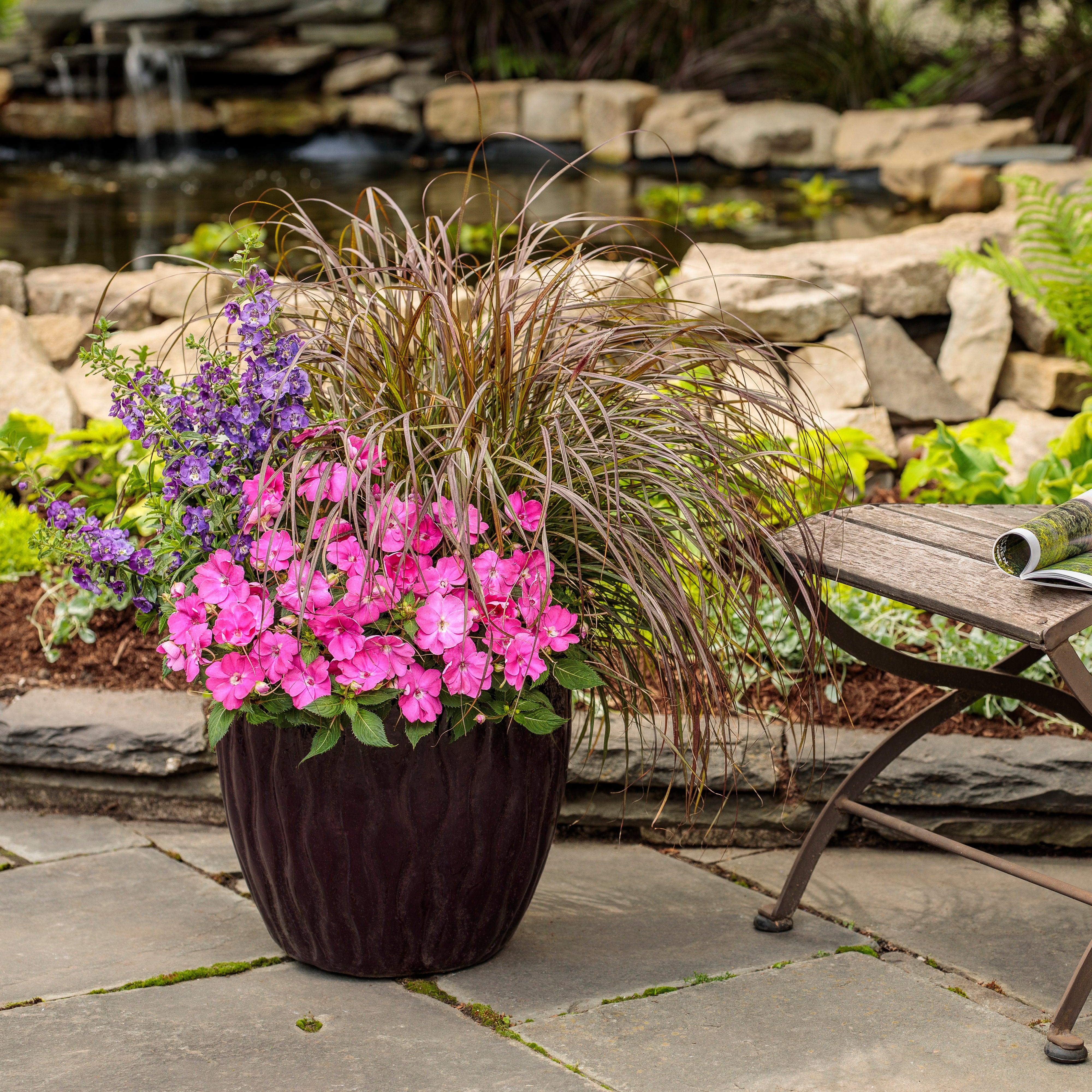 Impatiens | Proven Selections® SunPatiens® Compact Hot Pink
