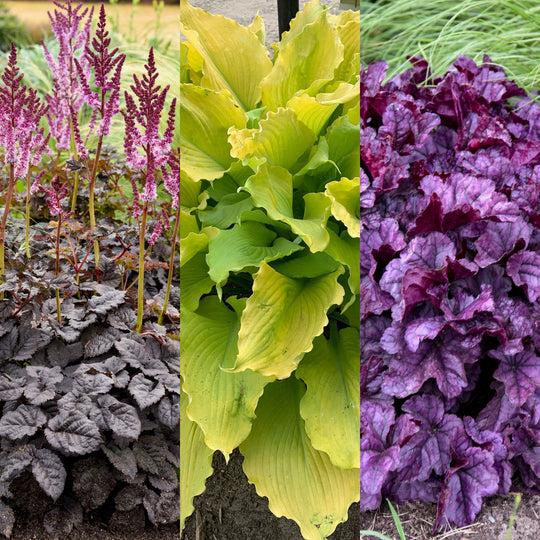 Night and Day EZ Scape™