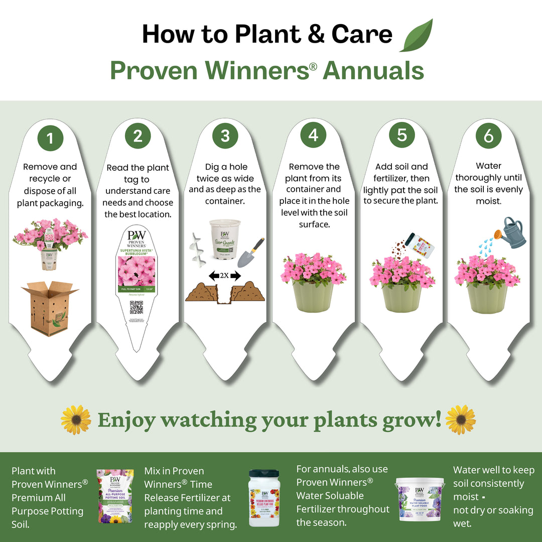 Large Firecracker Plant | Vermillionaire® | Proven Winners