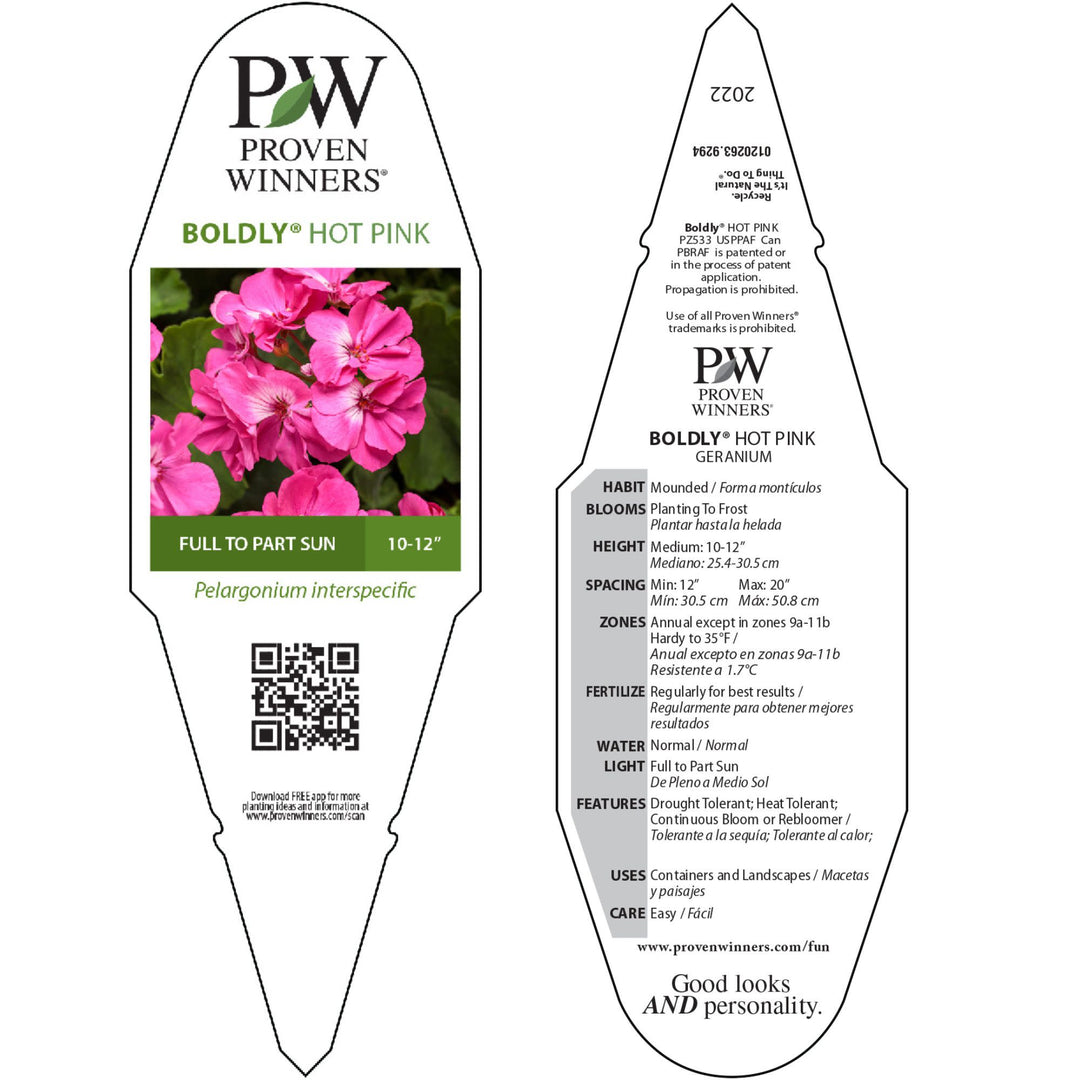 Boldly® Hot Pink Geranium (Pelargonium interspecific)
