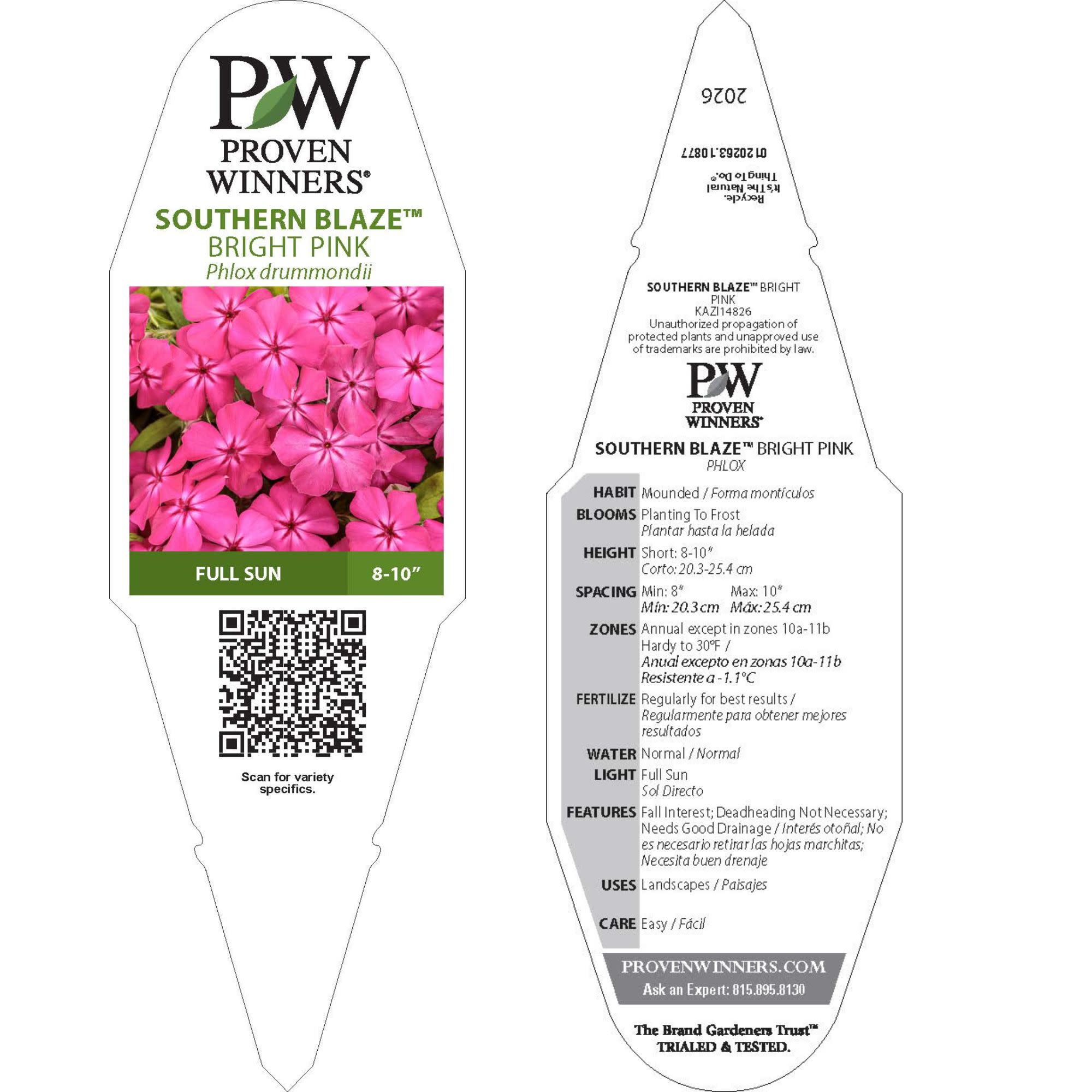 Phlox | Southern Blaze™ Bright Pink | Proven Winners® Annuals
