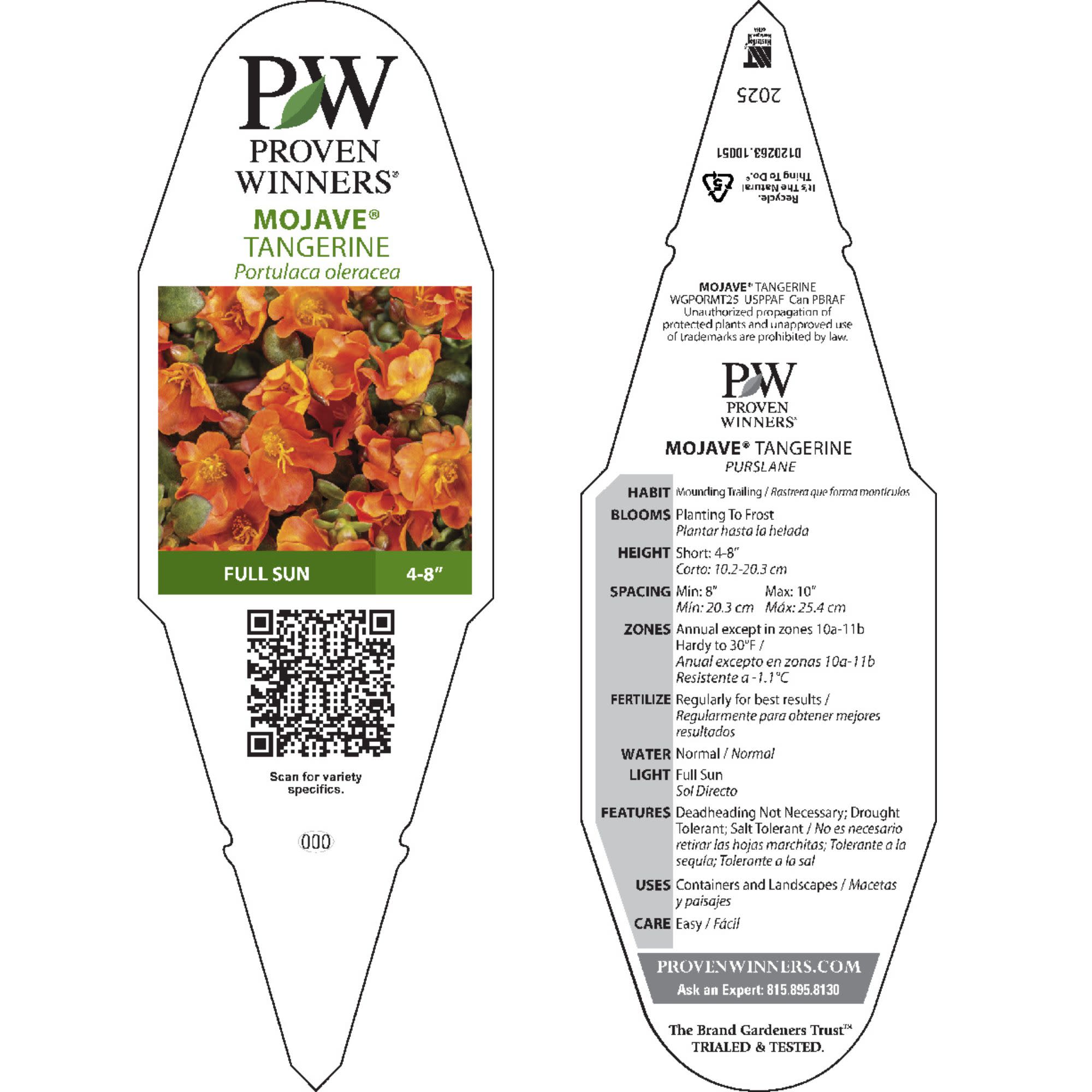 Purslane | Mojave® Tangerine | Proven Winners® Annuals – Proven