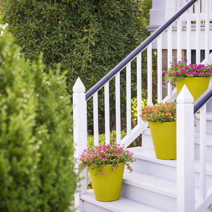 Mojave Fuchsia Purslane in use.