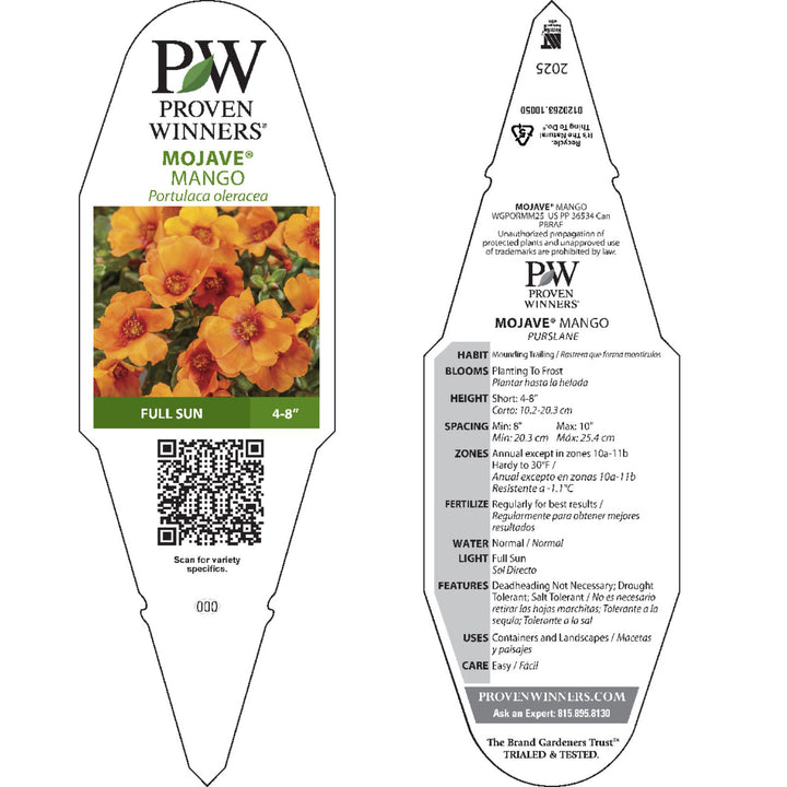 Purslane | Mojave® Mango | Proven Winners® Annuals – Proven