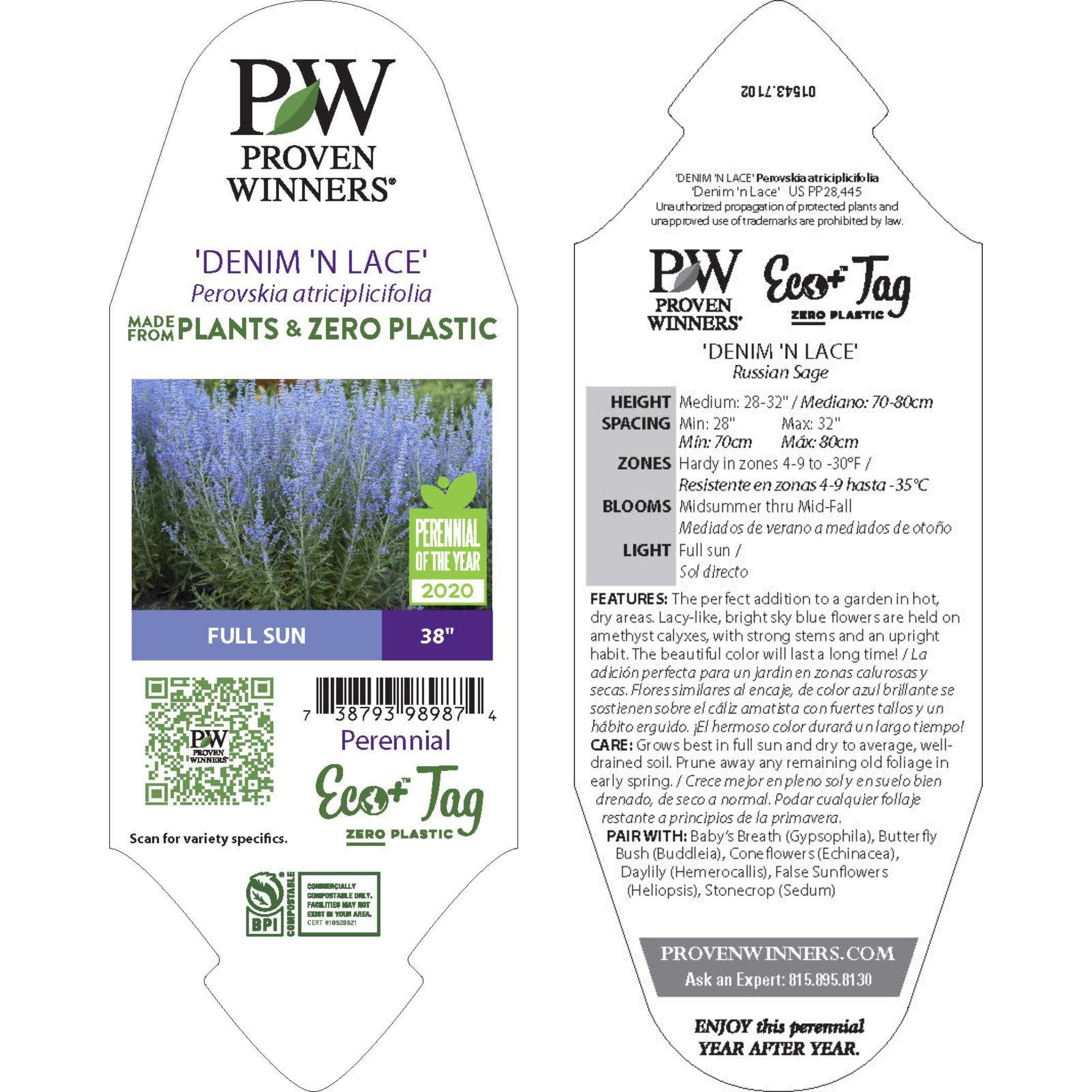 【SOBRE】ビジューニーレングスワンピース(パープル) XXL Russian Sage | 'Denim 'n Lace' | Proven Winners® Perennials