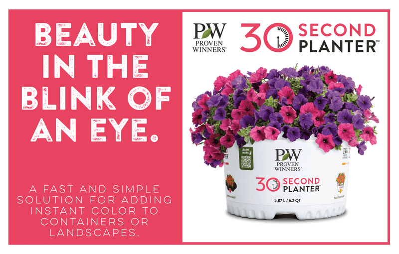 Gentle Blush - 30 Second Planter™ | New to Proven Winners Direct™