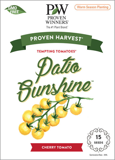 Seeds Tempting Tomatoes® Patio Sunshine Cherry Tomato (Solanum lycopersicum)