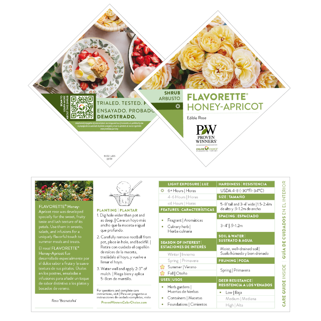 Flavorette® Honey-Apricot Edible Rose