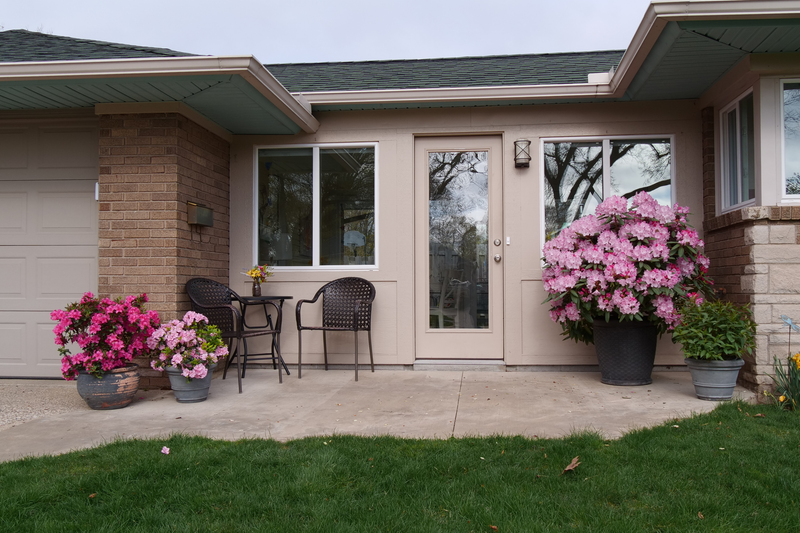 Dandy Man Color Wheel® (Rhododendron hybrid)