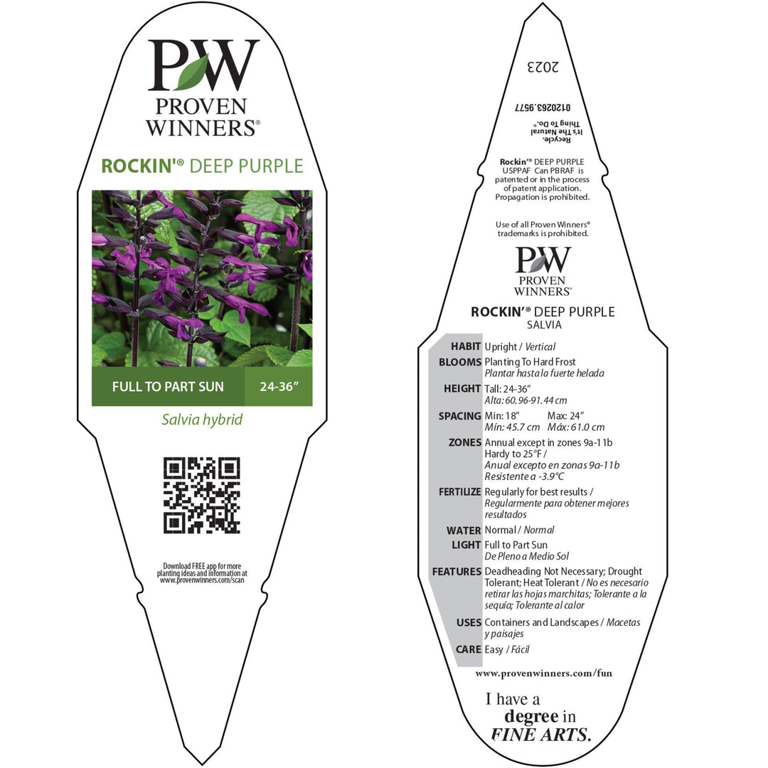 Salvia | Royale Rockin'® Deep Purple | Proven Winners® Annuals