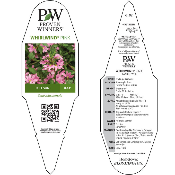 Fan Flower | Whirlwind® Pink | Proven Winners® Annuals – Proven