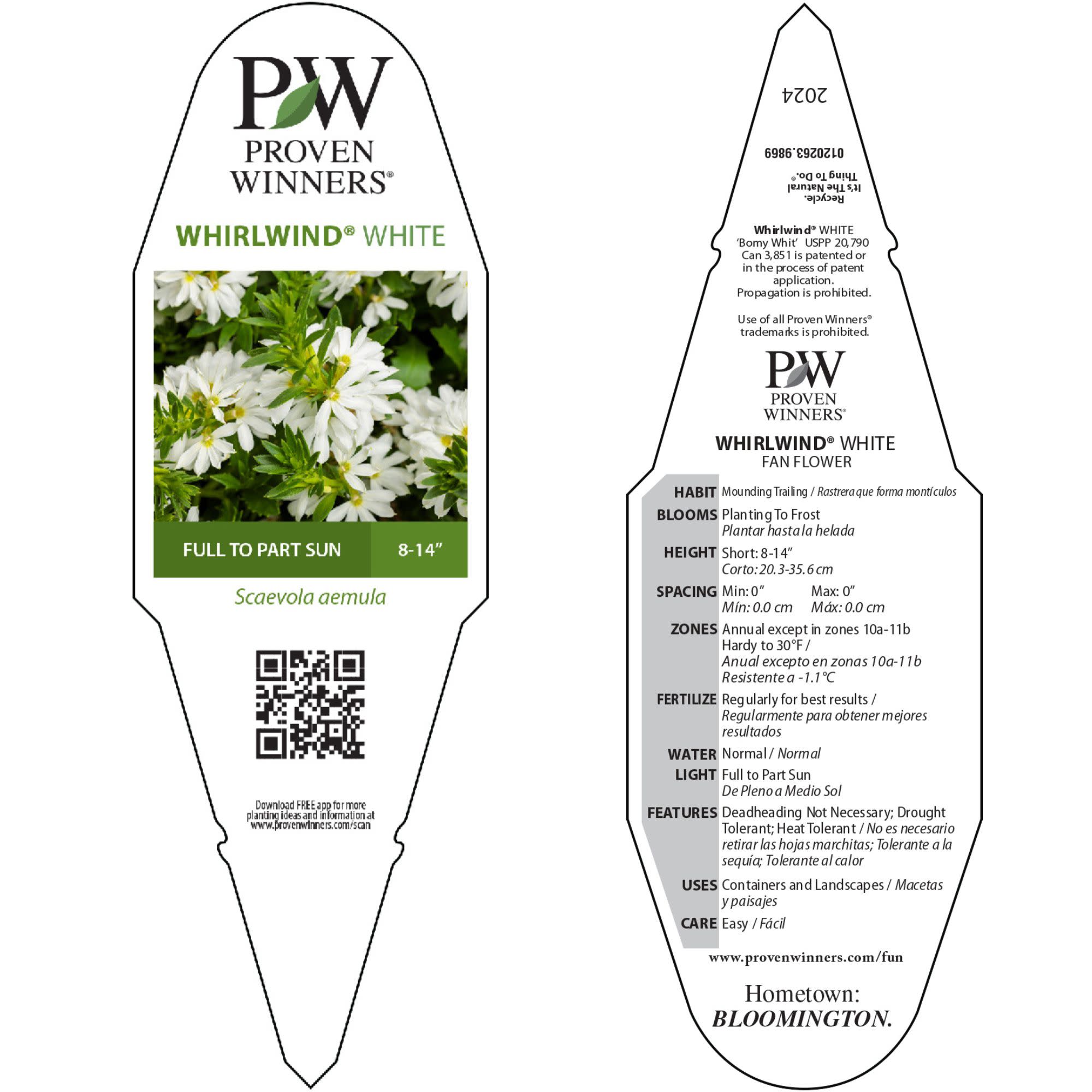 Fan Flower | Whirlwind® White | Proven Winners® Annuals – Proven