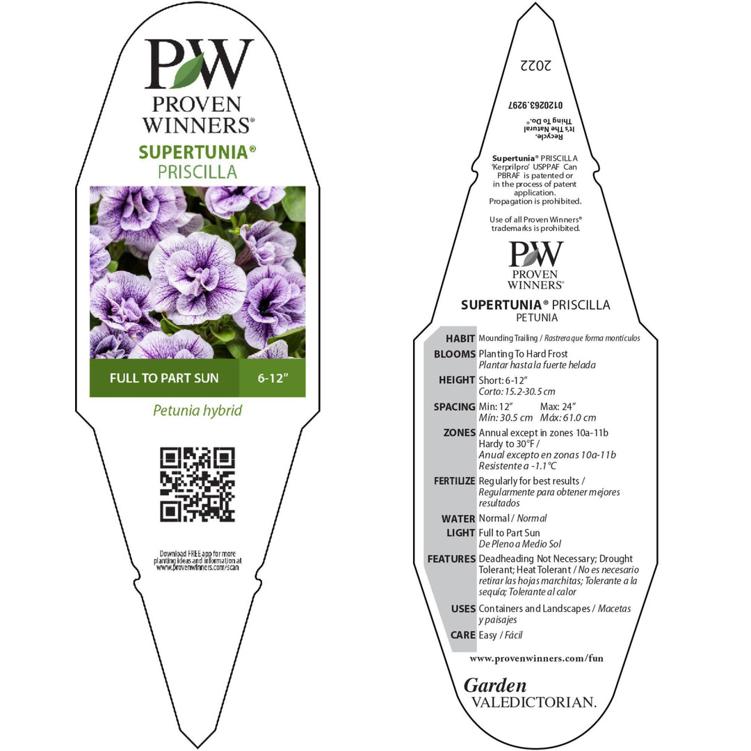 Petunia | Supertunia® Priscilla® | Proven Winners® Annuals